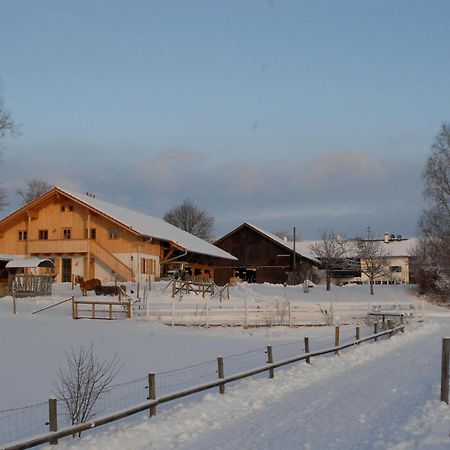 Hotel Zweilindenhof Seeshaupt Esterno foto