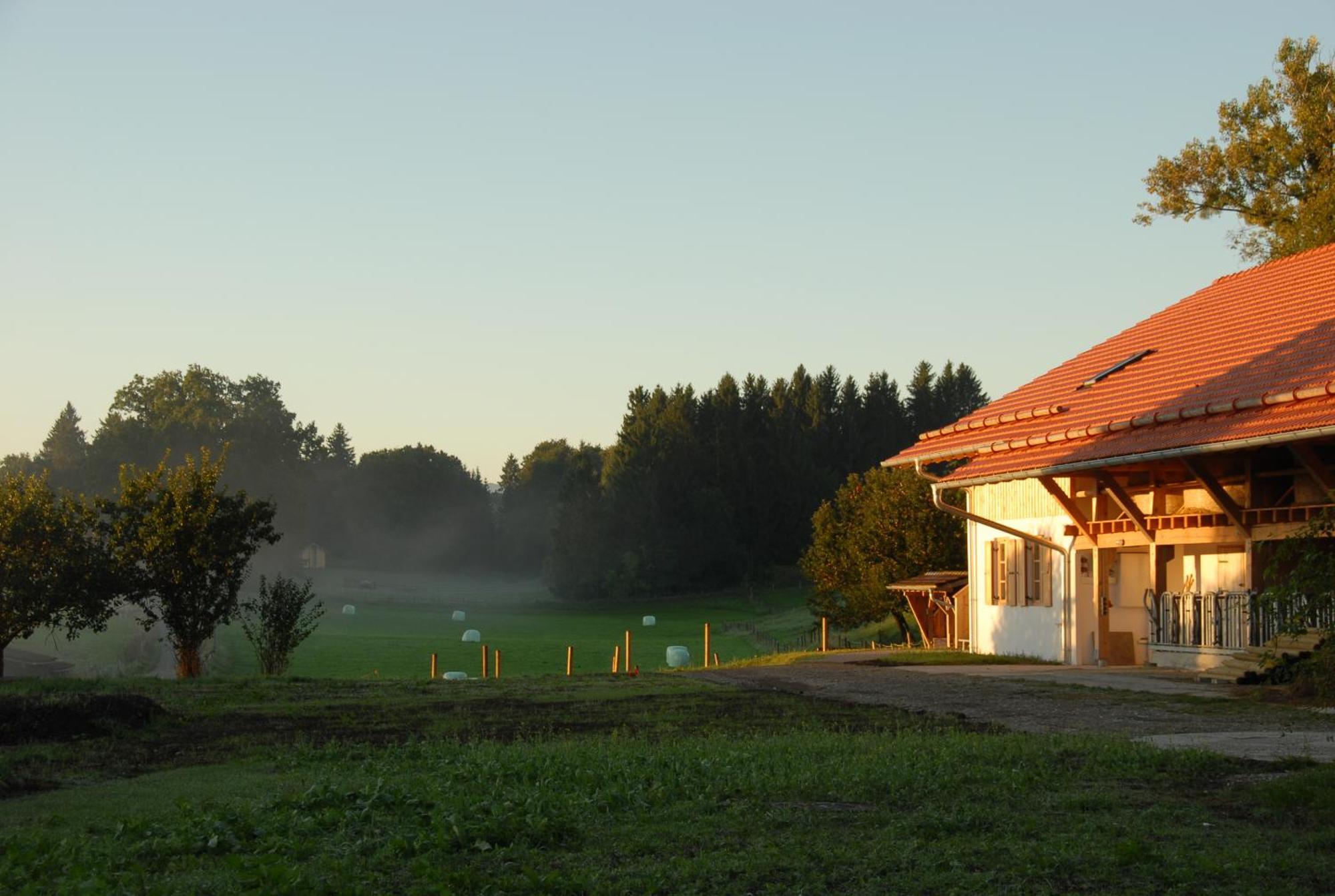 Hotel Zweilindenhof Seeshaupt Esterno foto