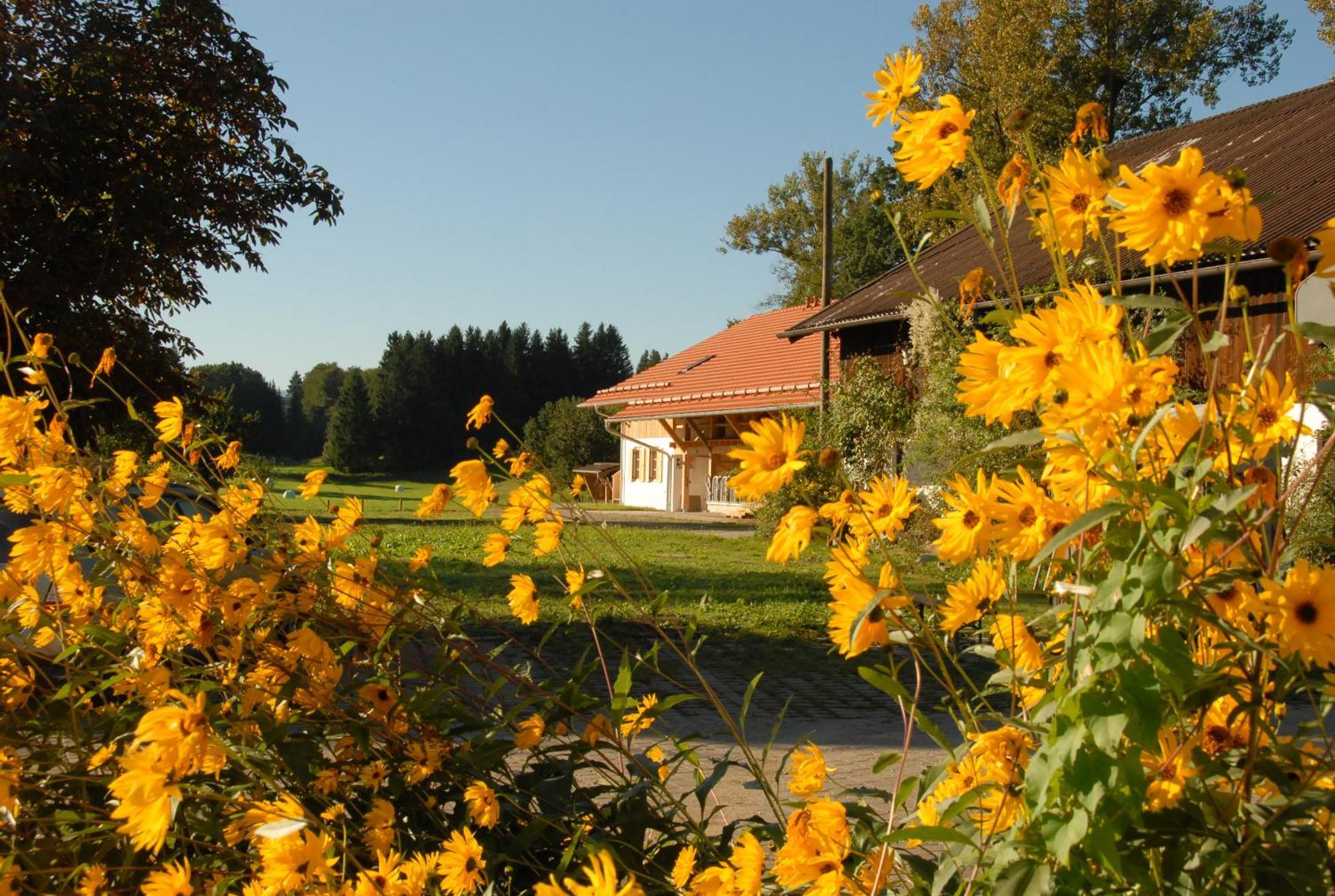Hotel Zweilindenhof Seeshaupt Esterno foto